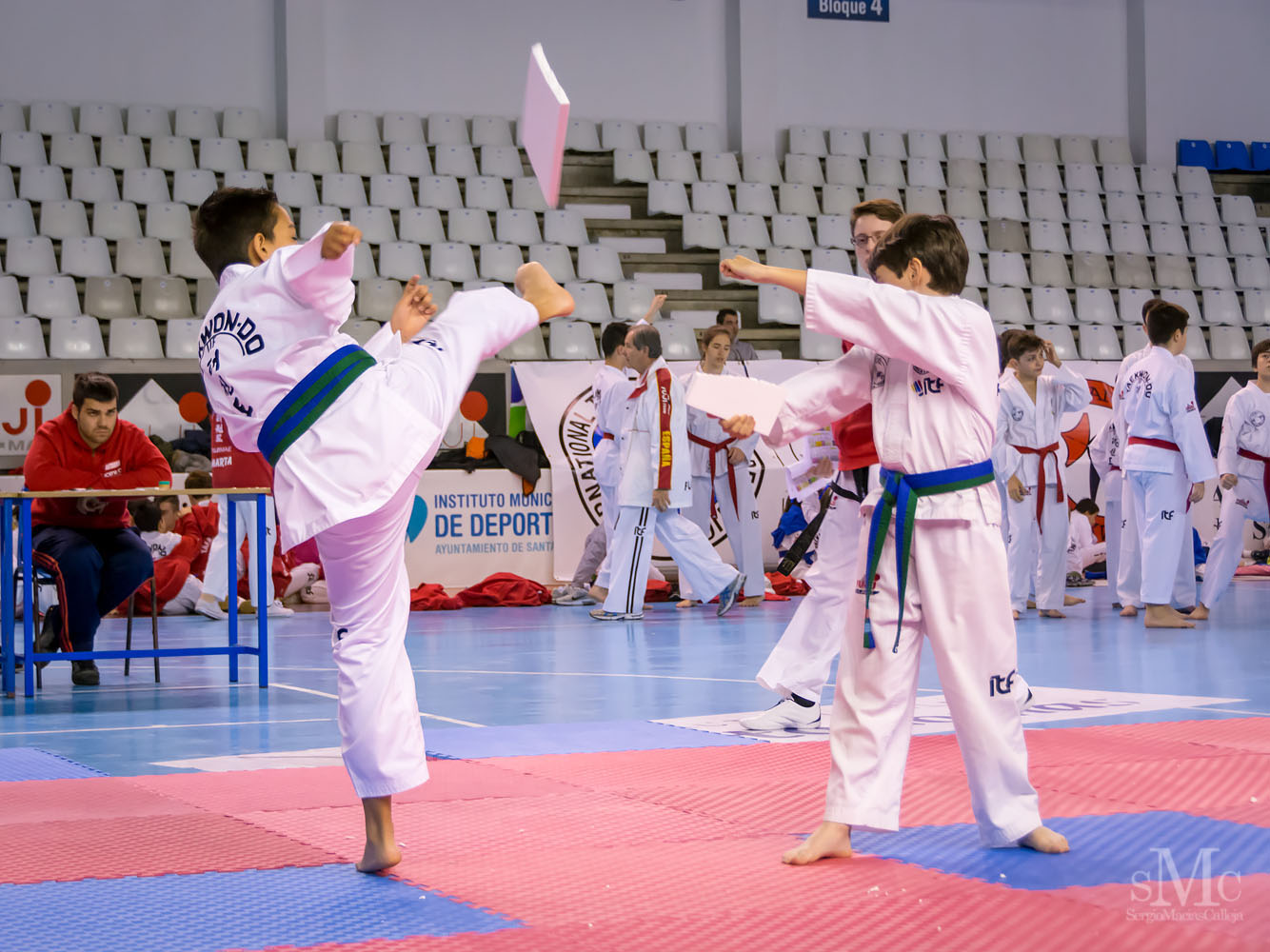 TAEKWONDO CAMPEONATO PAREJAS ABRIL 2018_1985.jpg
